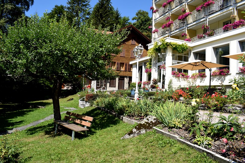 HOTEL WENGENER HOF  4 *